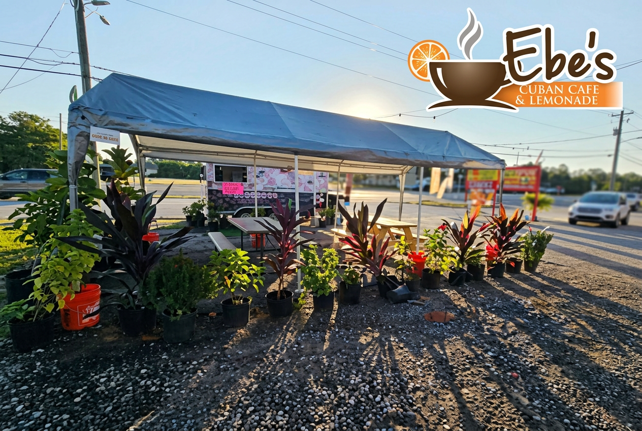 Ebe's patio at golden hour